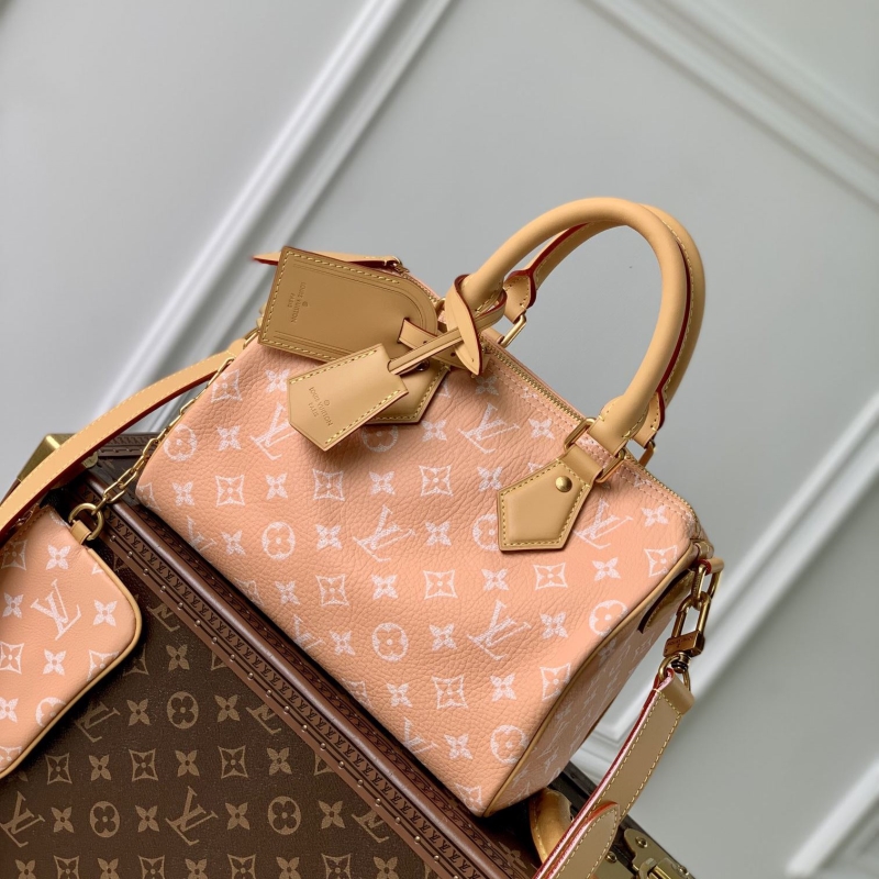 LV Travel Bags